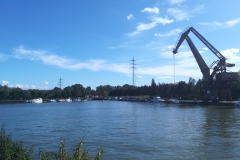 IMG_20171001_142456