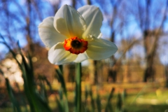 IMG_20200331_161539