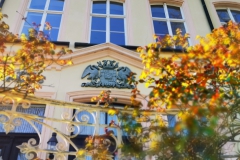 IMG_20200331_161835_1