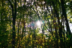 IMG_20200411_180833