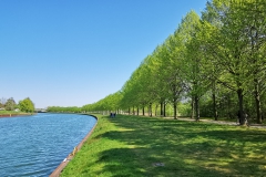 IMG_20200419_140853