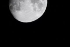 IMG_20200801_002141