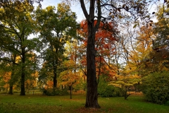 IMG_20201023_172940