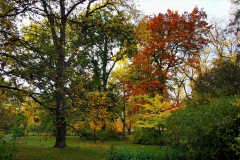 IMG_20201023_172955