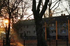 IMG_20201114_102129