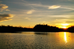 IMG_20201114_163553