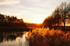 IMG_20201114_163619