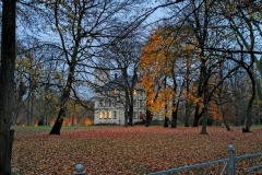 IMG_20201118_230331