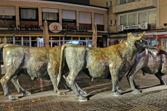 IMG_20201130_183334