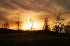 IMG_20201220_221747