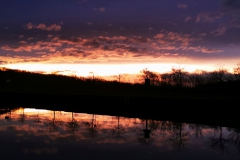 IMG_20201223_180142