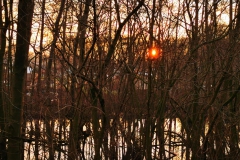 IMG_20210101_162825