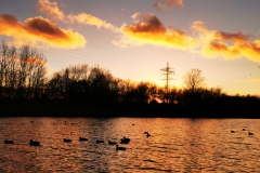 IMG_20210112_162559