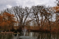 IMG_20210123_155825