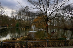 IMG_20210123_155853