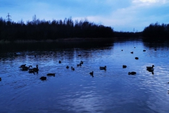 IMG_20210124_160101