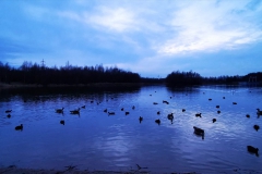 IMG_20210124_160116