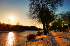 IMG_20210212_165332