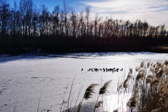 IMG_20210214_162945