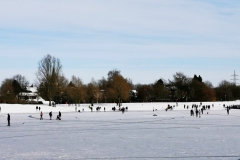 IMG_20210214_163024