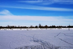 IMG_20210214_163034