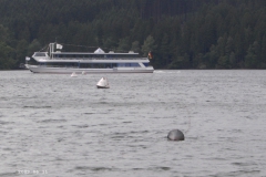 Moehnesee-12