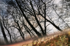 IMG_20200221_201053