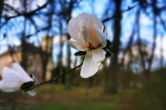 IMG_20200314_150133