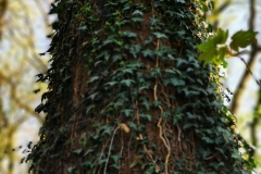 IMG_20200409_164626