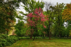 IMG_20200428_165908