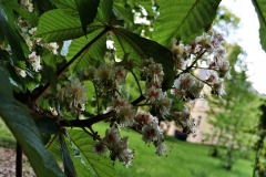 IMG_20200501_171936