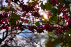 IMG_20200503_150313