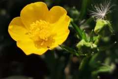 IMG_20200509_172113