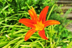 IMG_20200704_170659