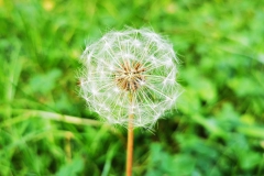 IMG_20200804_165807