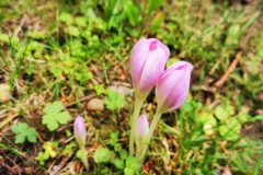 IMG_20200824_171533