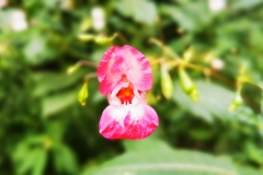 IMG_20200829_161240
