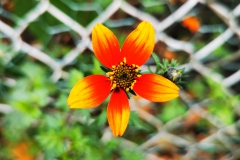 IMG_20201106_184900