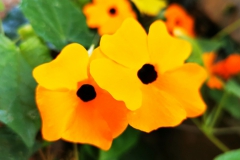 IMG_20201107_192615
