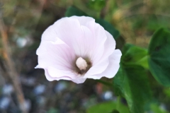 IMG_20201107_192800
