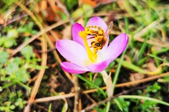 IMG_20210220_140225