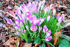 IMG_20210220_171446