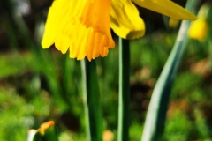 IMG_20210314_120339