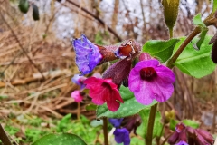 IMG_20210320_145237