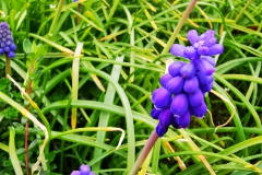 IMG_20210403_201658