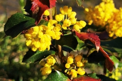 IMG_20210423_170718