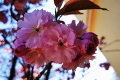 IMG_20210423_174029