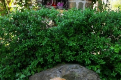 IMG_20200422_170616