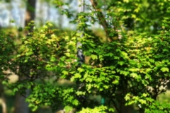 IMG_20200423_165030