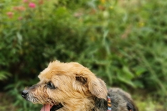 IMG_20200722_173831